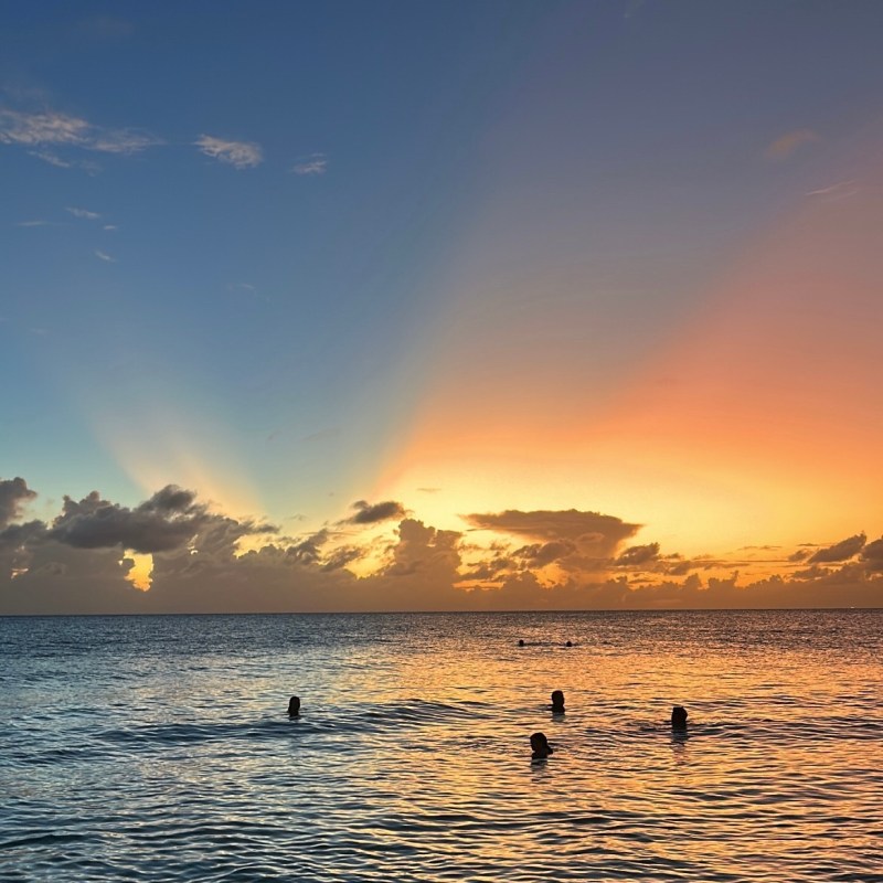 To All the Books that Stayed in My&nbsp;Suitcase