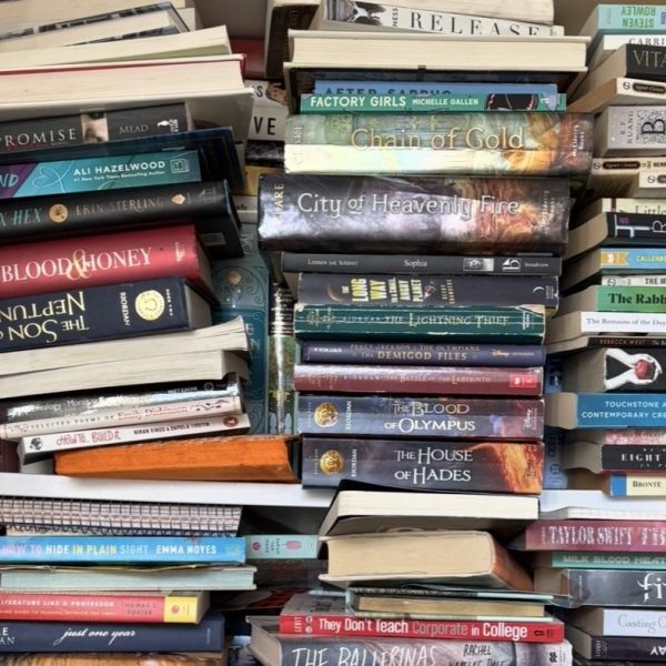 My 2025 in&nbsp;Books