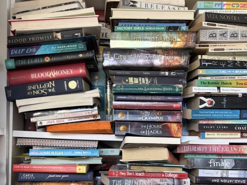 My 2025 in&nbsp;Books